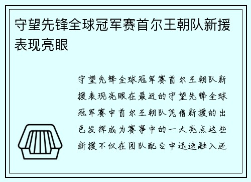 守望先锋全球冠军赛首尔王朝队新援表现亮眼